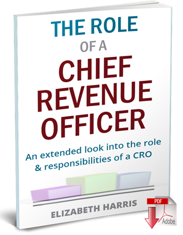 chief commercial officer job description pdf