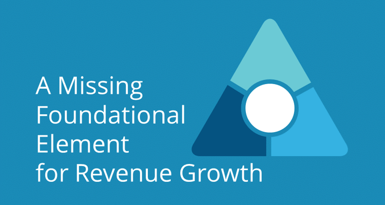 missing-foundational-element-for Revenue Growth.png