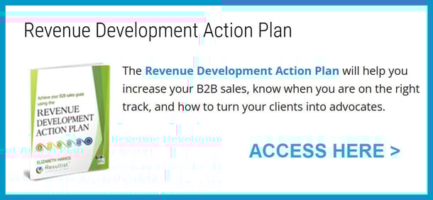 revenue-development-action-plan-offer