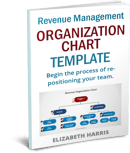 revenue-management-org-chart-sample-2