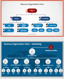 revenue-management-org-chart-sample