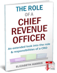 role-of-chief-revenue-officer-cover3-3d-150