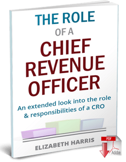 role of a chief revenue officer