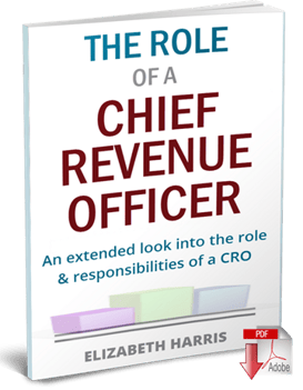 role-of-chief-revenue-officer-cover3-3d-360.png