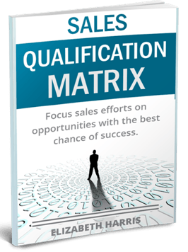 sales-qualification-matrix-cover-480-621-trans.png