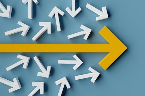 one-principle-driving-every-business-decision